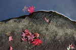 2017.12.01 054Bl.jpg