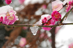 2018.02.02 114Bl.jpg