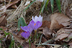 2018.02.27 078Bl.jpg