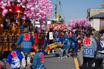 2018.03.25 087Bl.jpg
