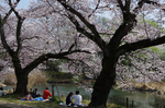 2018.03.29b 125Bl.jpg