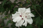 2018.08.24 040Bl.jpg