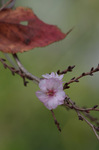 2018.10.10 047Bl.jpg
