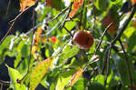 2018.10.21 037Bl.jpg