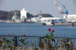 2018.10.28 037Bl.jpg