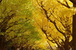2018.11.30 090Bl.jpg