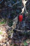 2019.01.21 019Bl.jpg