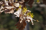 2019.01.29 013Bl.jpg