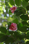2019.02.21 068Bl.jpg