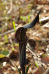 2019.03.15 033Bl.jpg