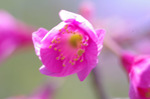 2019.03.20 082Bl.jpg