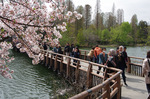 2019.04.08 003Bl.jpg