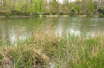 2019.04.08 077Bl.jpg