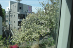 2019.04.18 065Bl.jpg