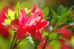 2019.04.22 063Bl.jpg