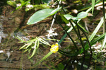 2019.05.24 085Bl.jpg