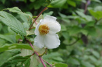 2019.06.25 065Bl.jpg