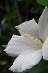 2019.08.22 040Bl.jpg