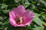 2019.09.07 004Bl.jpg