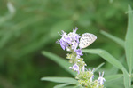 2019.09.07 040Bl.jpg