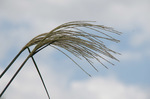 2019.09.12 008Bl.jpg