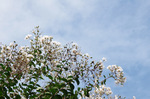 2019.09.24 065Bl.jpg