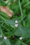 2019.10.03 013Bl.jpg