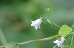 2019.10.07 002Bl.jpg