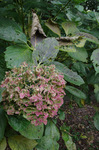 2019.10.07 082Bl.jpg