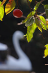 2019.11.01 075Bl.jpg