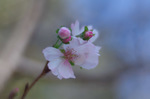2019.11.04 018Bl.jpg