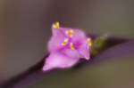 2019.11.07 052Bl.jpg