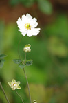 2019.11.11 056Bl.jpg