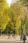 2019.11.11 084Bl.jpg