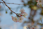 2019.11.14 011Bl.jpg