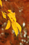 2019.12.10 124Bl.jpg