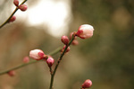 2020.01.07 053Bl.jpg