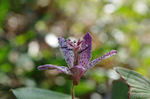 2020.01.11 004Bl.jpg