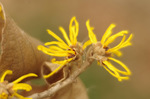 2020.01.24 017Bl.jpg
