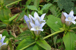 2020.10.27 038Bl.jpg