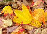 21.12.01 165Bl.jpg