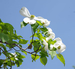 22.04.23 140Bl.jpg