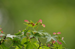 *2019.05.01 189Bl.jpg